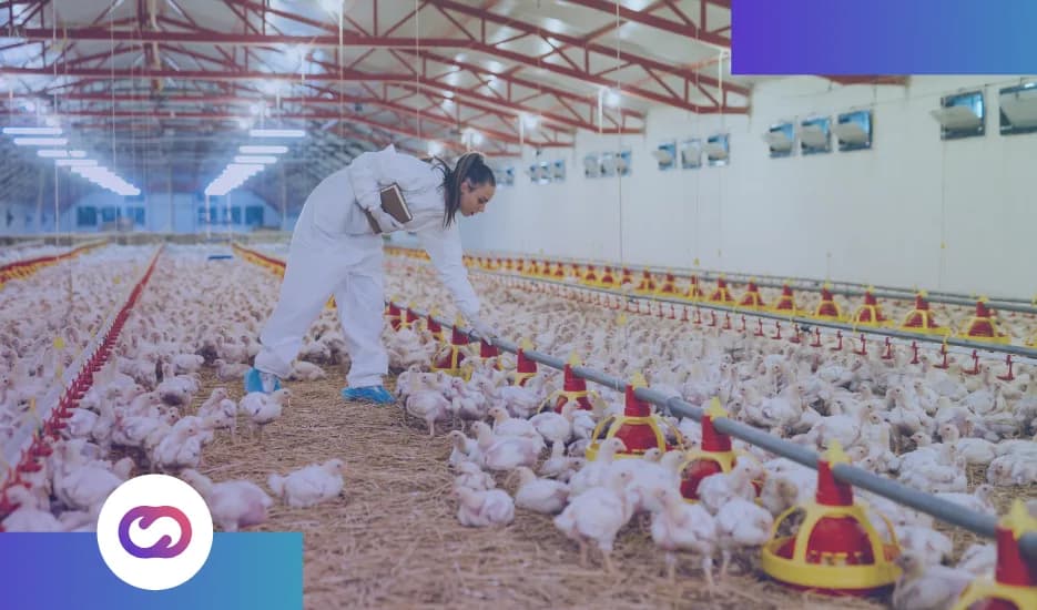 Modernize Poultry Farms with IoT Technology