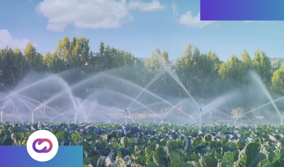 Smart Irrigation: Your Ally for Success